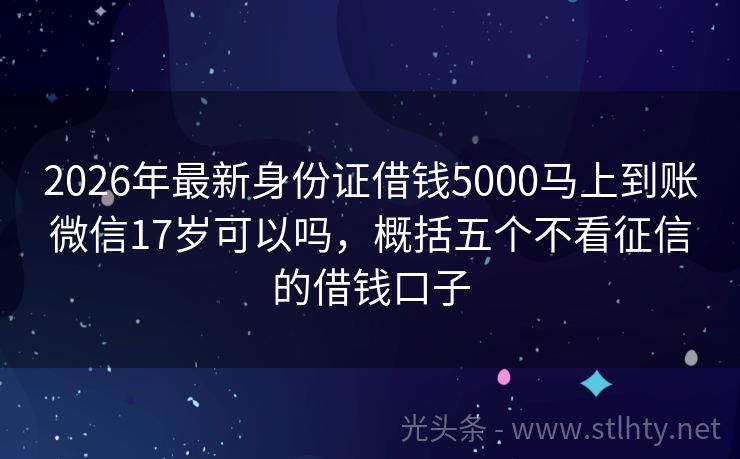 2026年最新身份证借钱5000马上到账微信17岁可以吗，概括五个不看征信的借钱口子