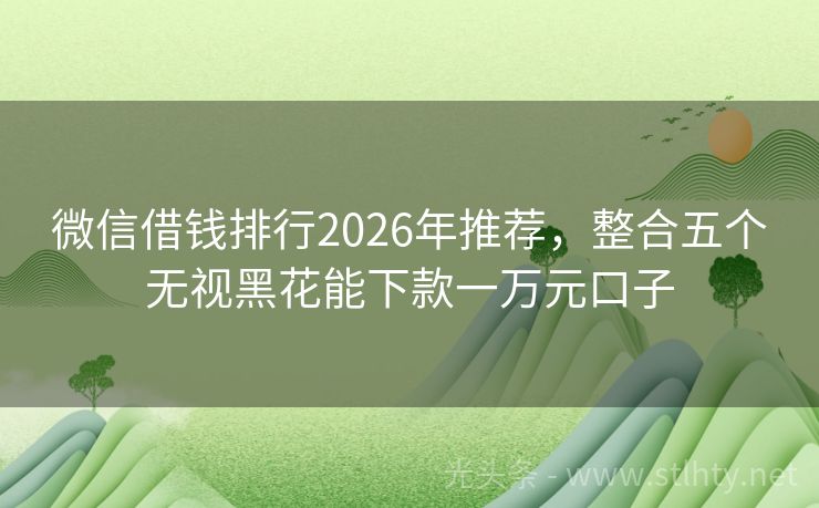 微信借钱排行2026年推荐，整合五个无视黑花能下款一万元口子