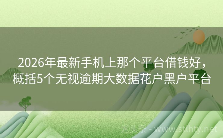 2026年最新手机上那个平台借钱好，概括5个无视逾期大数据花户黑户平台