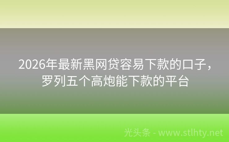 2026年最新黑网贷容易下款的口子，罗列五个高炮能下款的平台