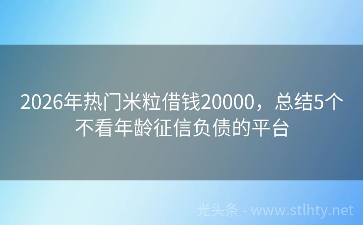 2026年热门米粒借钱20000，总结5个不看年龄征信负债的平台