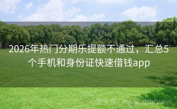 2026年热门分期乐提额不通过，汇总5个手机和身份证快速借钱app