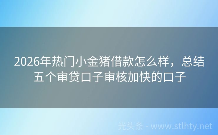 2026年热门小金猪借款怎么样，总结五个审贷口子审核加快的口子