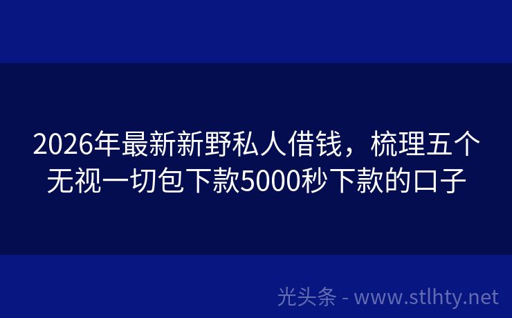2026年最新新野私人借钱，梳理五个无视一切包下款5000秒下款的口子