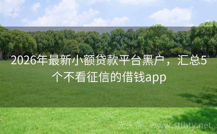 2026年最新小额贷款平台黑户，汇总5个不看征信的借钱app