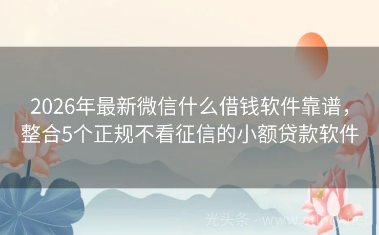 2026年最新微信什么借钱软件靠谱，整合5个正规不看征信的小额贷款软件