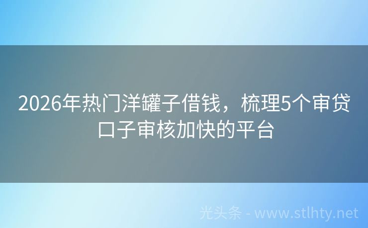 2026年热门洋罐子借钱，梳理5个审贷口子审核加快的平台