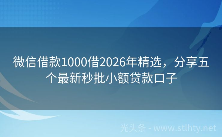 微信借款1000借2026年精选，分享五个最新秒批小额贷款口子