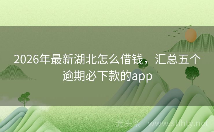 2026年最新湖北怎么借钱，汇总五个逾期必下款的app