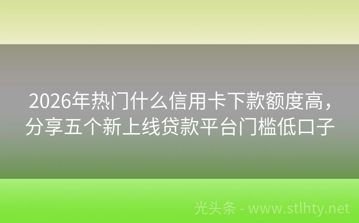2026年热门什么信用卡下款额度高，分享五个新上线贷款平台门槛低口子