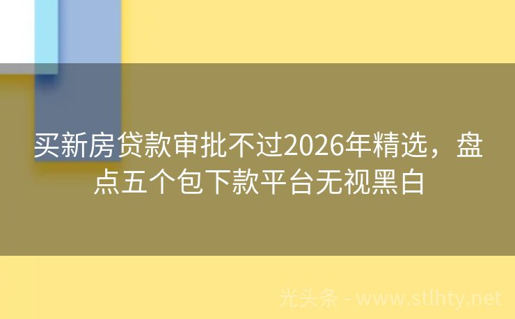 买新房贷款审批不过2026年精选，盘点五个包下款平台无视黑白