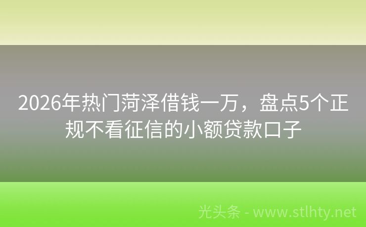 2026年热门菏泽借钱一万，盘点5个正规不看征信的小额贷款口子