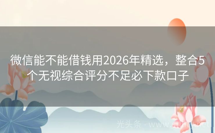 微信能不能借钱用2026年精选，整合5个无视综合评分不足必下款口子