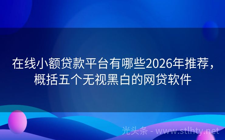 在线小额贷款平台有哪些2026年推荐，概括五个无视黑白的网贷软件