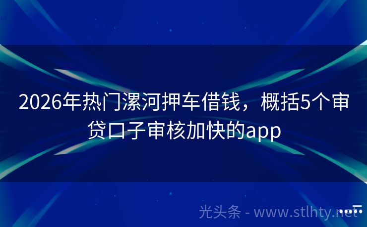 2026年热门漯河押车借钱，概括5个审贷口子审核加快的app