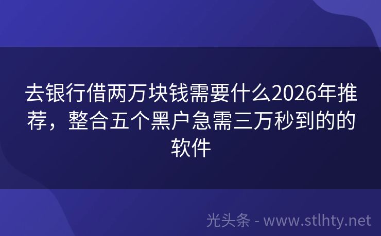 去银行借两万块钱需要什么2026年推荐，整合五个黑户急需三万秒到的的软件