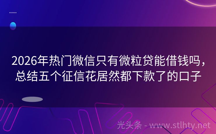 2026年热门微信只有微粒贷能借钱吗，总结五个征信花居然都下款了的口子