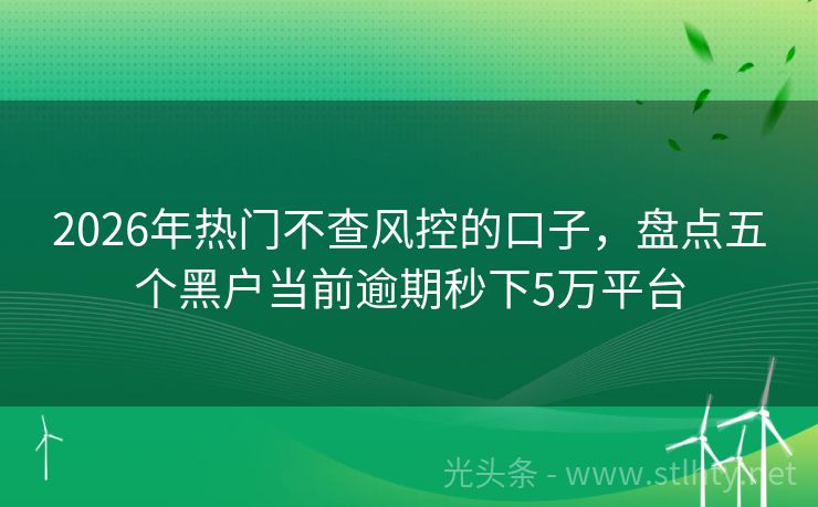 2026年热门不查风控的口子，盘点五个黑户当前逾期秒下5万平台