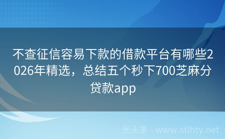 不查征信容易下款的借款平台有哪些2026年精选，总结五个秒下700芝麻分贷款app