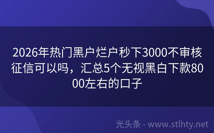 2026年热门黑户烂户秒下3000不审核征信可以吗，汇总5个无视黑白下款8000左右的口子