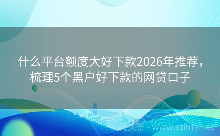 什么平台额度大好下款2026年推荐，梳理5个黑户好下款的网贷口子