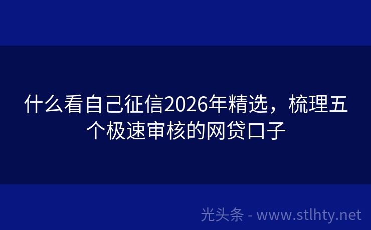 什么看自己征信2026年精选，梳理五个极速审核的网贷口子
