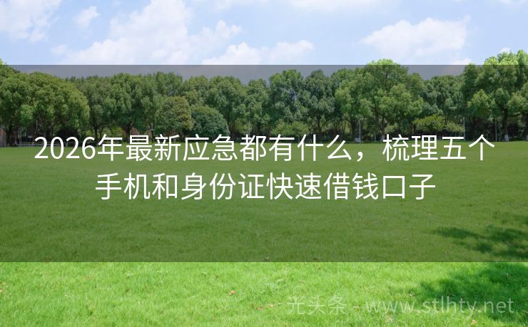 2026年最新应急都有什么，梳理五个手机和身份证快速借钱口子