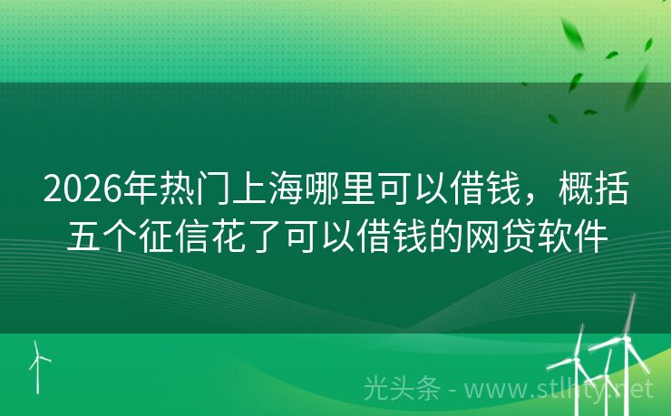 2026年热门上海哪里可以借钱，概括五个征信花了可以借钱的网贷软件