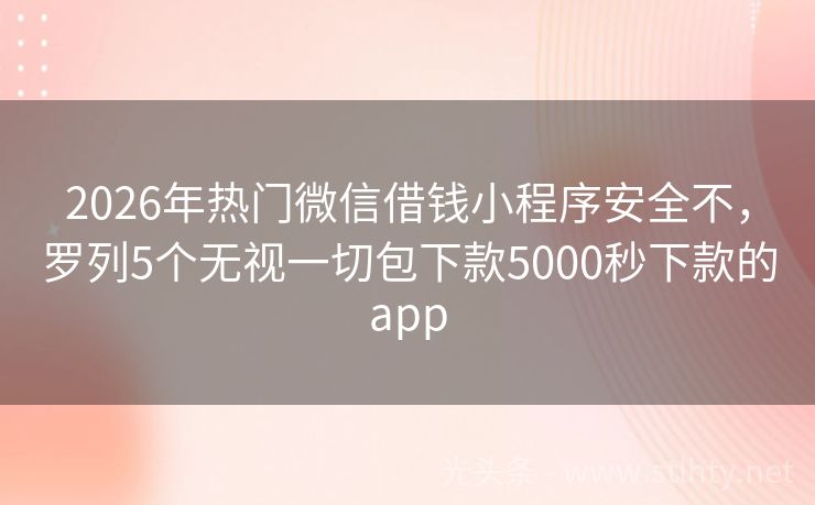 2026年热门微信借钱小程序安全不，罗列5个无视一切包下款5000秒下款的app