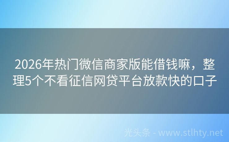 2026年热门微信商家版能借钱嘛，整理5个不看征信网贷平台放款快的口子