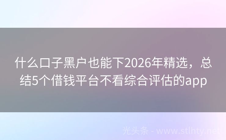 什么口子黑户也能下2026年精选，总结5个借钱平台不看综合评估的app