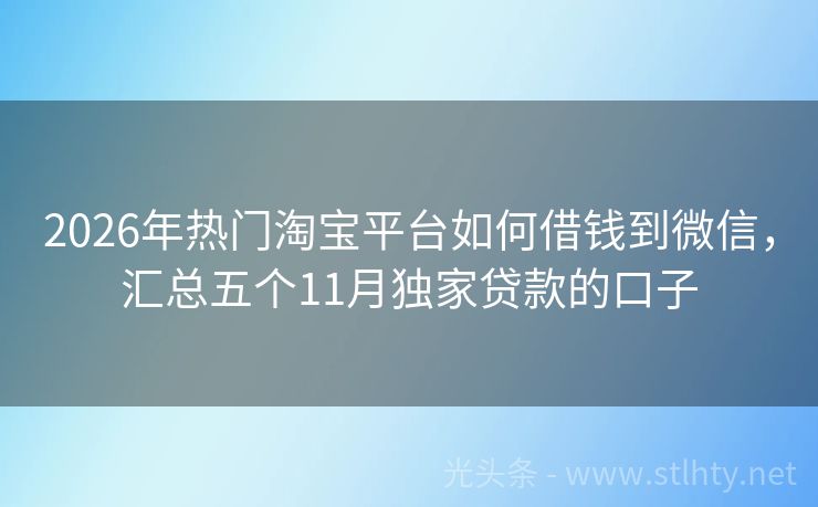 2026年热门淘宝平台如何借钱到微信，汇总五个11月独家贷款的口子