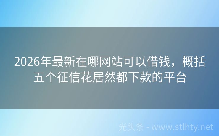 2026年最新在哪网站可以借钱，概括五个征信花居然都下款的平台