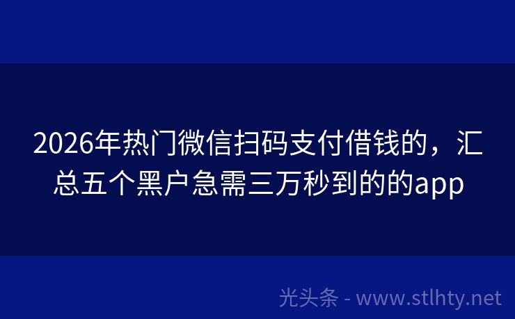 2026年热门微信扫码支付借钱的，汇总五个黑户急需三万秒到的的app