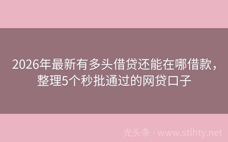 2026年最新有多头借贷还能在哪借款，整理5个秒批通过的网贷口子