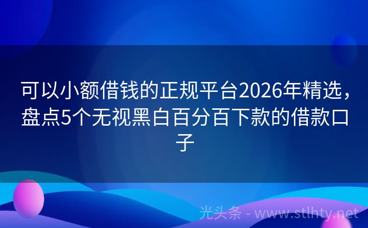 可以小额借钱的正规平台2026年精选，盘点5个无视黑白百分百下款的借款口子