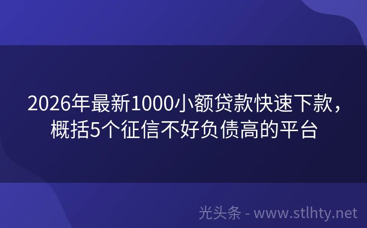 2026年最新1000小额贷款快速下款，概括5个征信不好负债高的平台