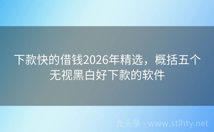 下款快的借钱2026年精选，概括五个无视黑白好下款的软件
