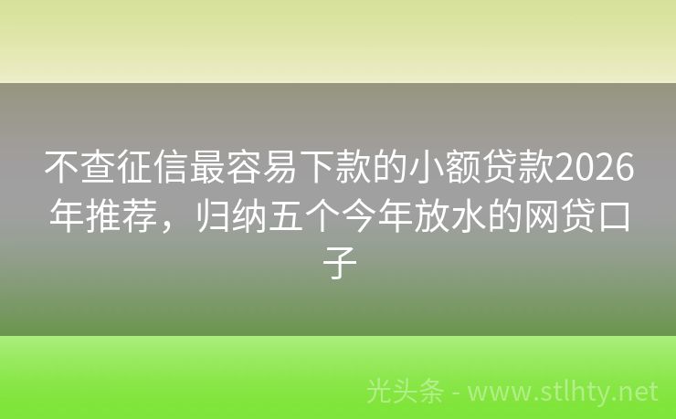 不查征信最容易下款的小额贷款2026年推荐，归纳五个今年放水的网贷口子