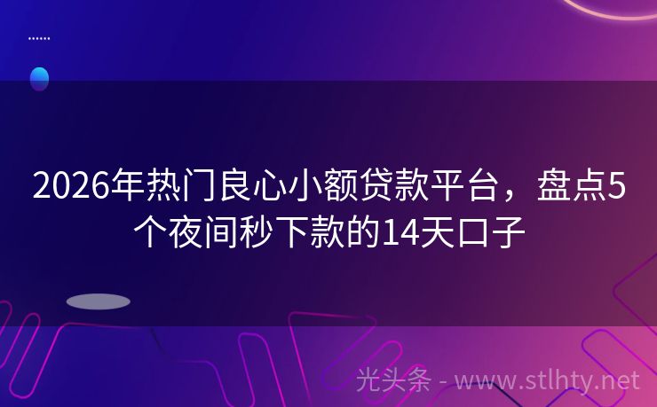 2026年热门良心小额贷款平台，盘点5个夜间秒下款的14天口子