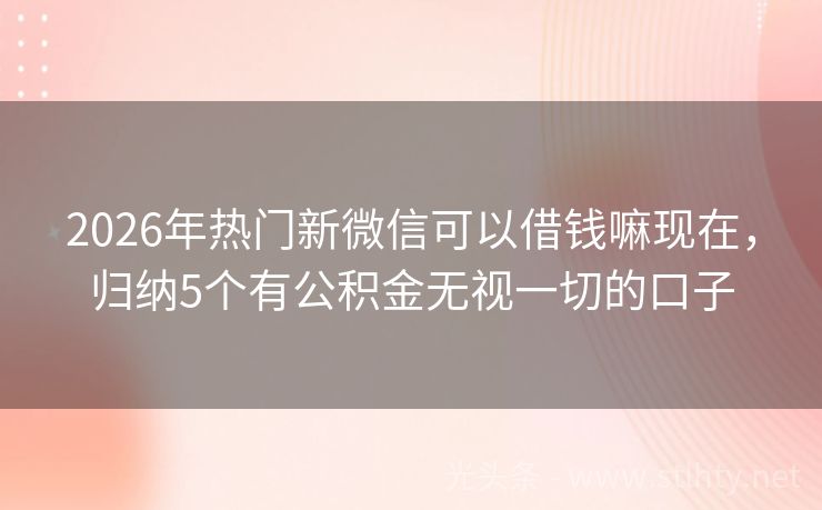 2026年热门新微信可以借钱嘛现在，归纳5个有公积金无视一切的口子