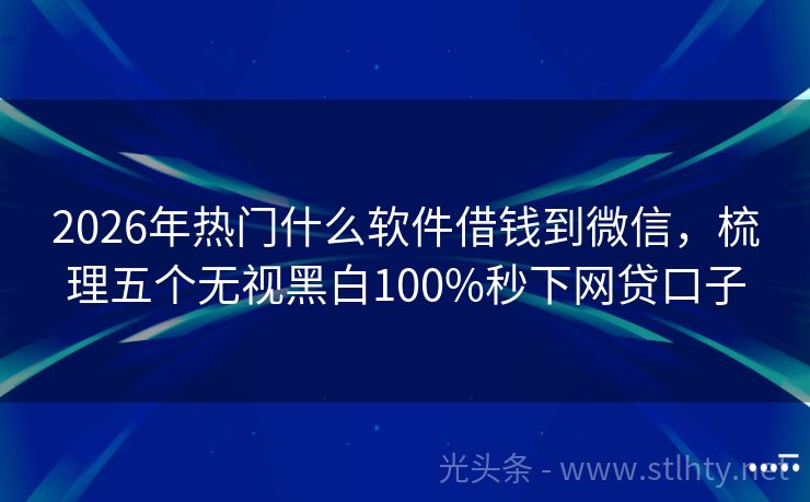 2026年热门什么软件借钱到微信，梳理五个无视黑白100%秒下网贷口子