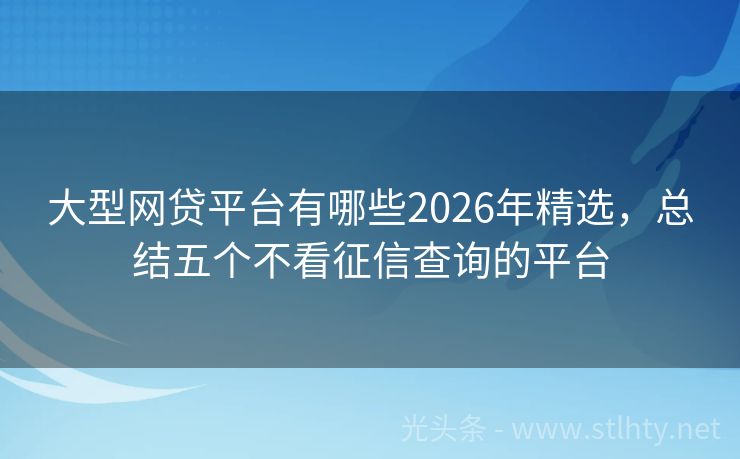 大型网贷平台有哪些2026年精选，总结五个不看征信查询的平台