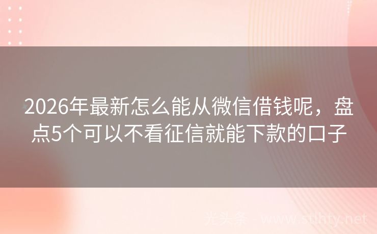 2026年最新怎么能从微信借钱呢，盘点5个可以不看征信就能下款的口子