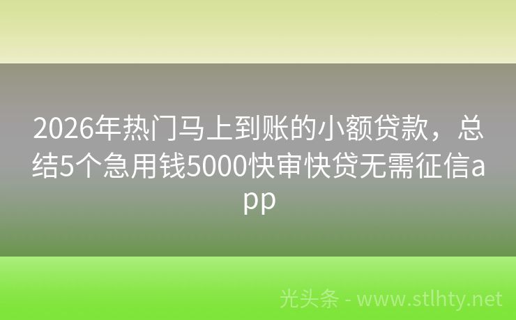 2026年热门马上到账的小额贷款，总结5个急用钱5000快审快贷无需征信app