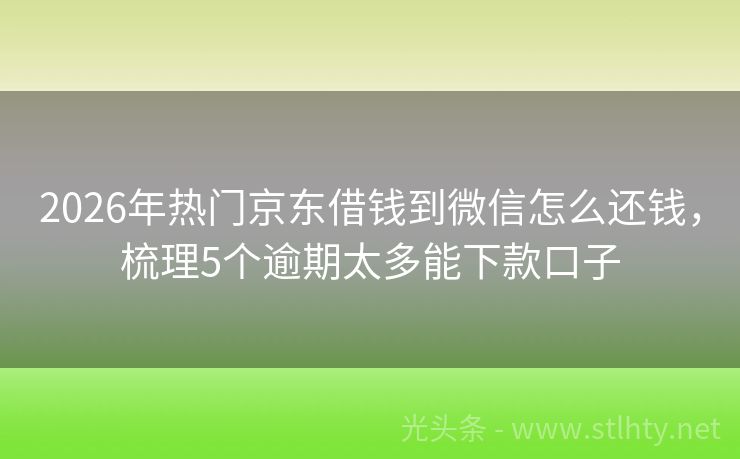 2026年热门京东借钱到微信怎么还钱，梳理5个逾期太多能下款口子