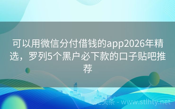 可以用微信分付借钱的app2026年精选，罗列5个黑户必下款的口子贴吧推荐