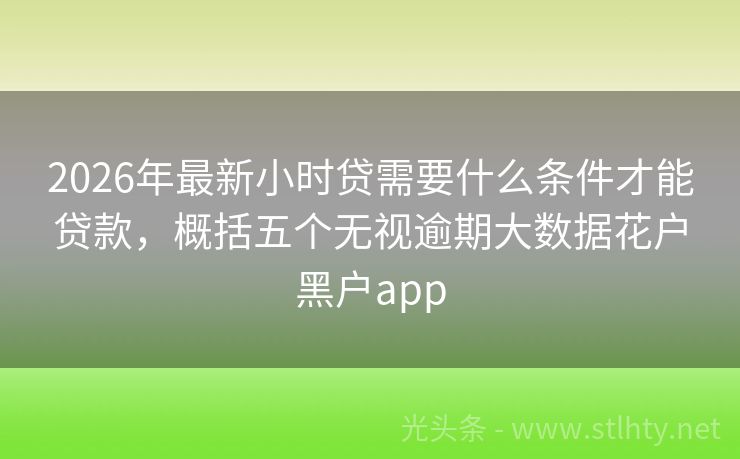 2026年最新小时贷需要什么条件才能贷款，概括五个无视逾期大数据花户黑户app