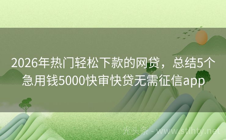 2026年热门轻松下款的网贷，总结5个急用钱5000快审快贷无需征信app