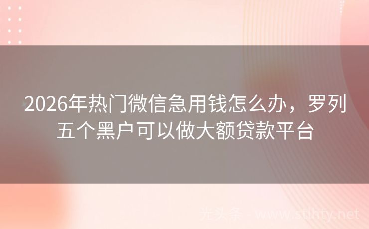 2026年热门微信急用钱怎么办，罗列五个黑户可以做大额贷款平台
